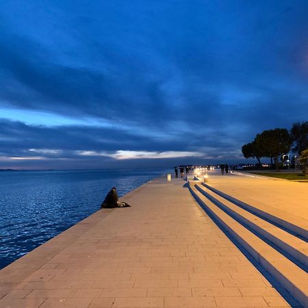 'One Tree' Apartment, Old Town Zadar Dış mekan fotoğraf